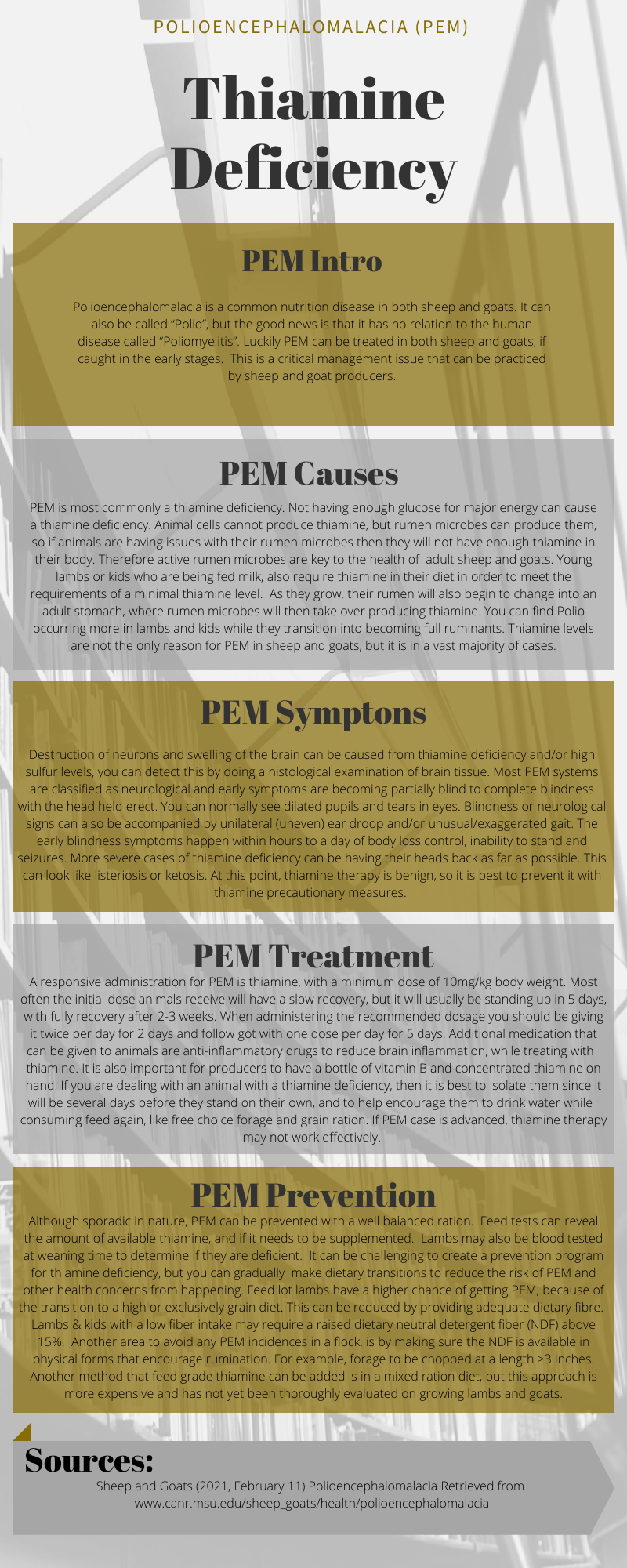 WeCAHN information library Lakeland College Student Infographic